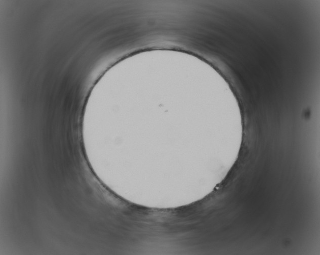 X0000115781191200912241804