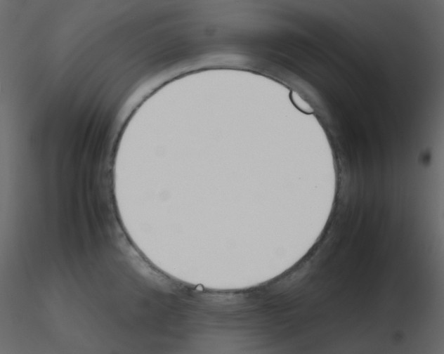 X0000115781192200912241804