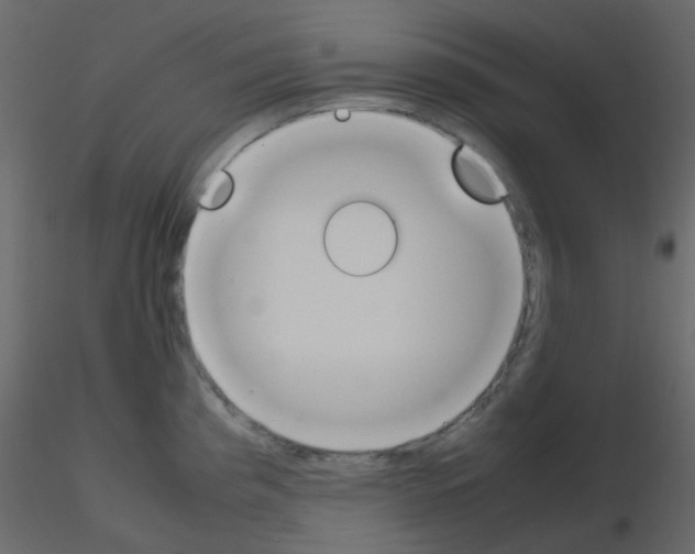 X0000115781193200912241804