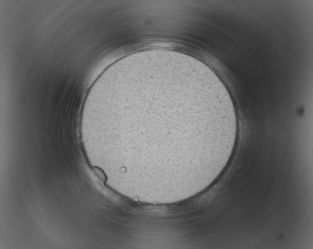 X0000115781194200912241804