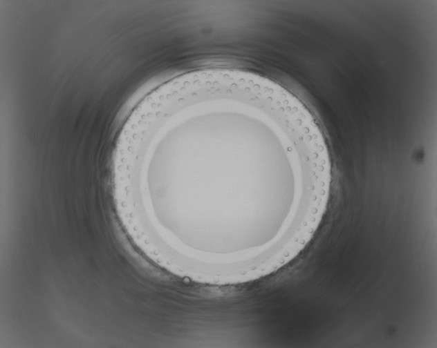 X0000115781195200912241804