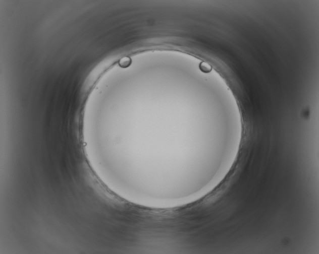 X0000115781196200912241804