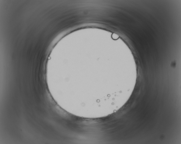 X0000115781199200912241804