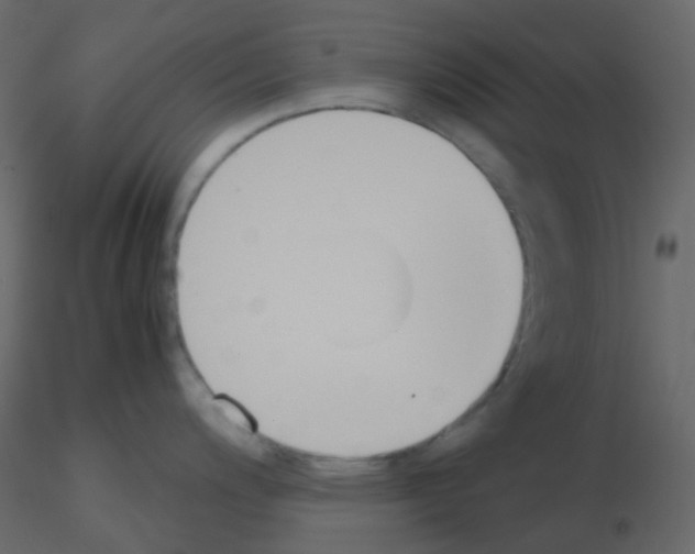 X0000115781200200912241804