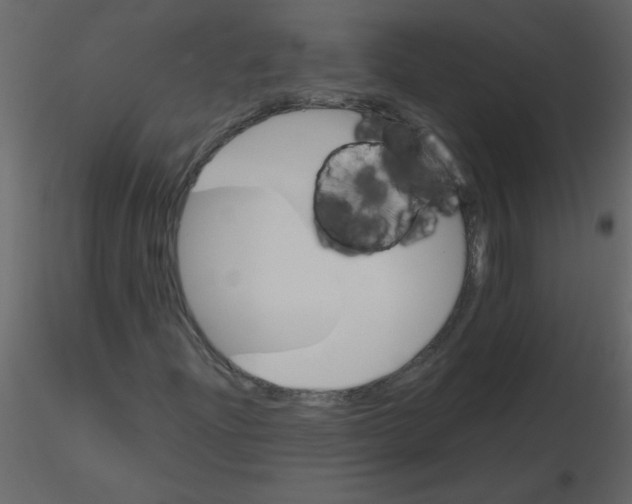 X0000115781204200912241803