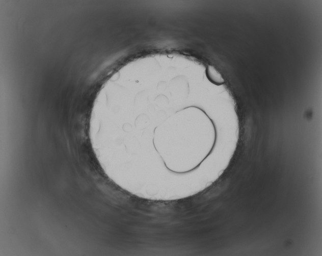 X0000115781205200912241803