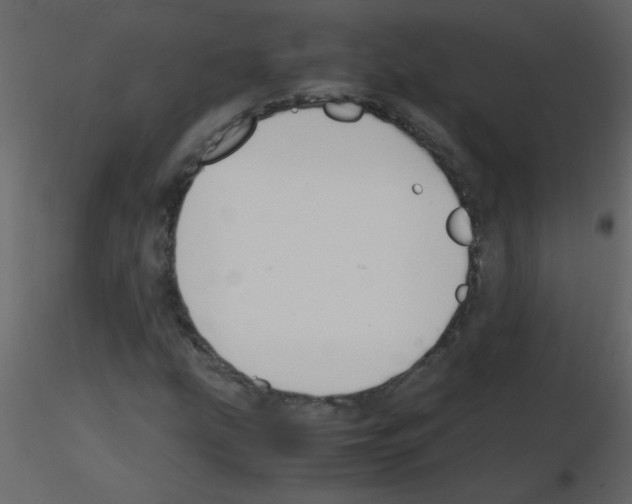 X0000115781207200912241803