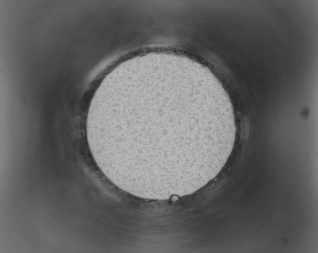 X0000115781208200912241803