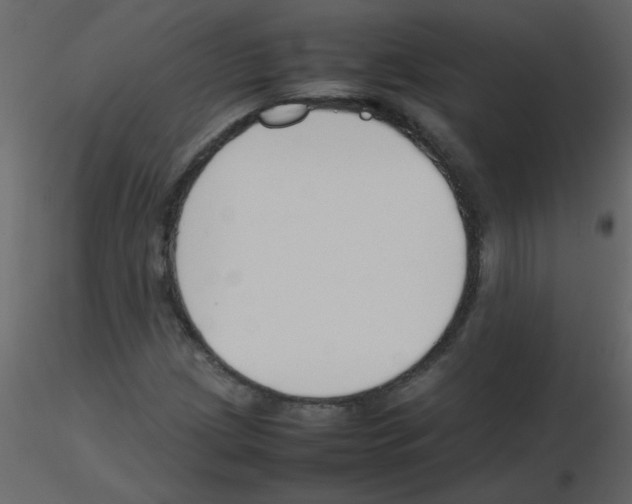 X0000115781209200912241803