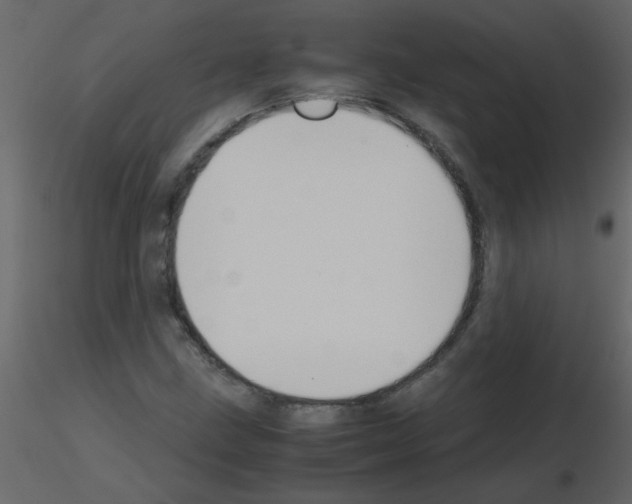 X0000115781211200912241803