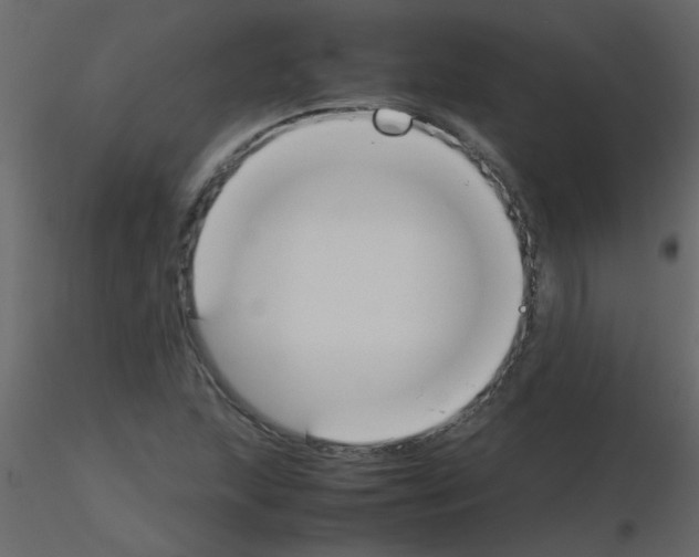 X0000115781215200912241804