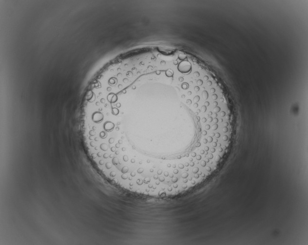 X0000115781216200912241804