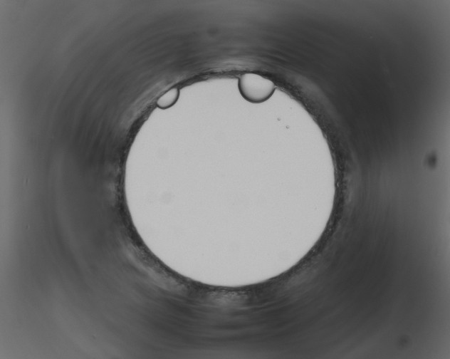 X0000115781217200912241804