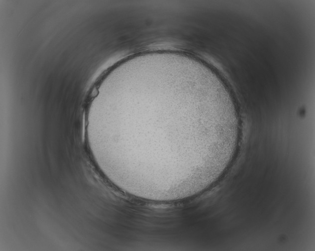 X0000115781219200912241804