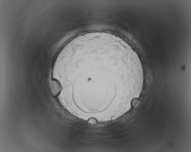 X0000115781221200912241804