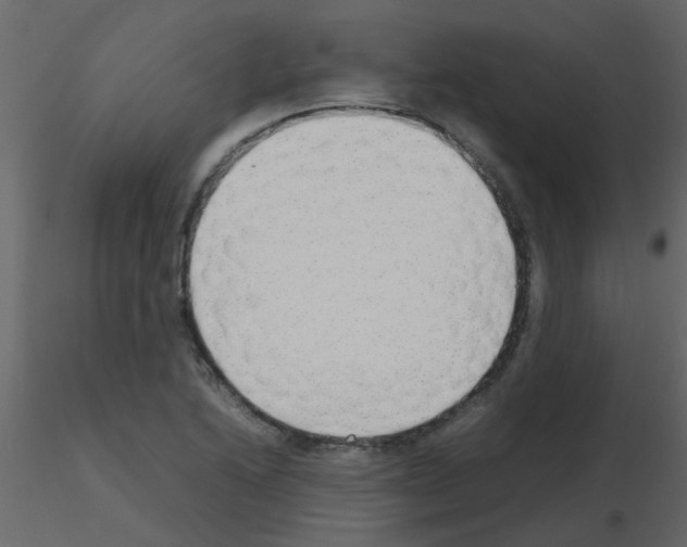 X0000115781222200912241804