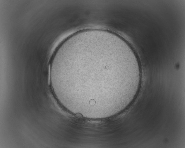 X0000115781223200912241804