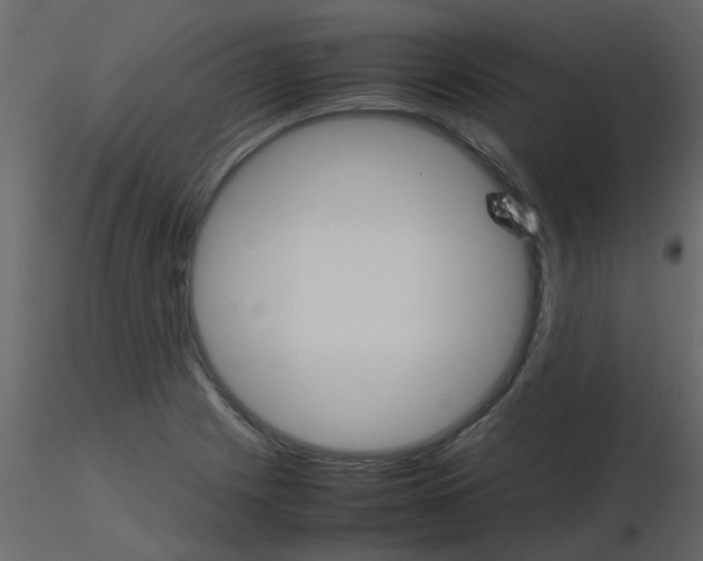 X0000115781225200912241804