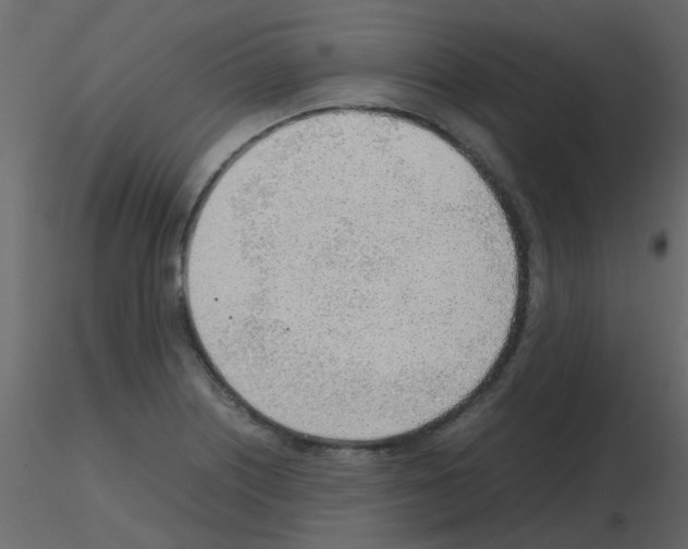 X0000115781226200912241804