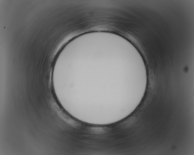 X0000115781227200912241804