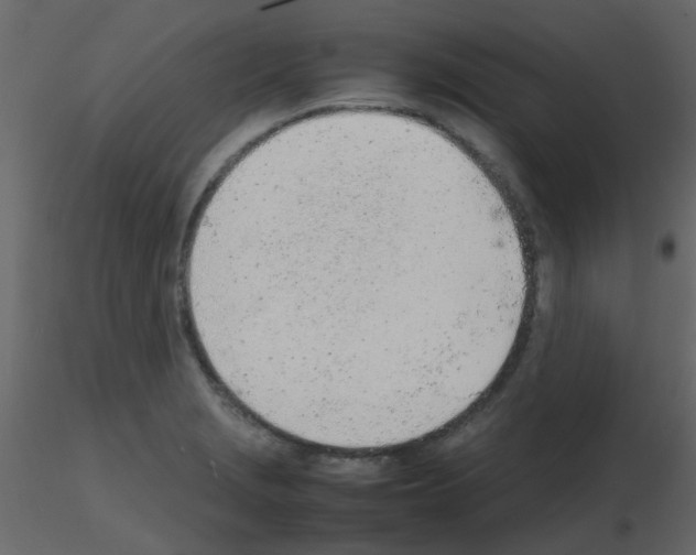 X0000115781229200912241804