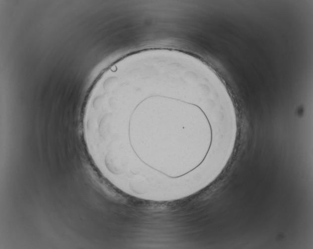 X0000115781230200912241804