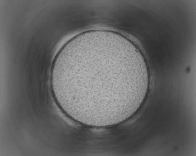 X0000115781231200912241804