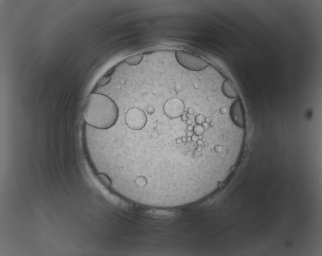 X0000115781235200912241804