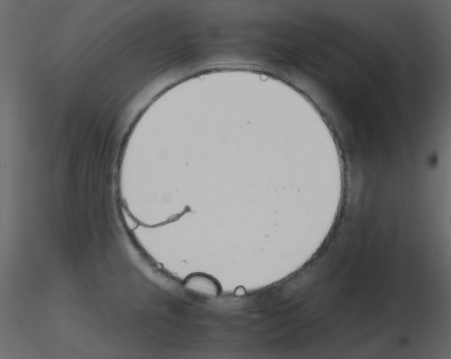 X0000115781237200912241804