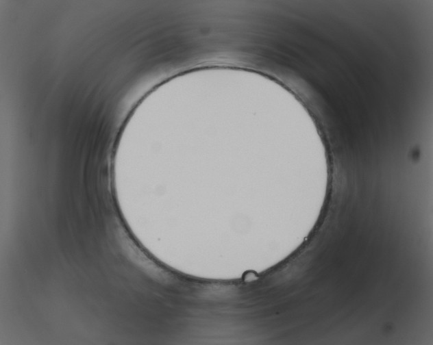 X0000115781238200912241804