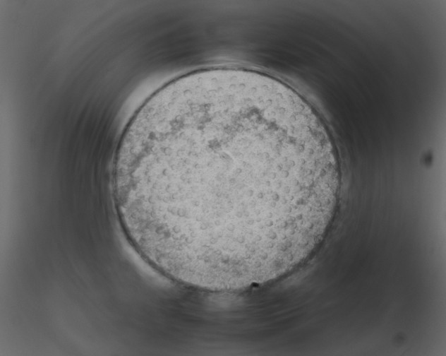 X0000115781239200912241804