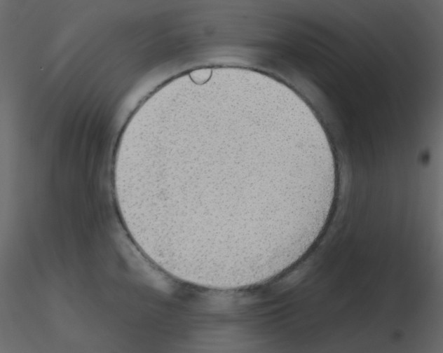 X0000115781240200912241804