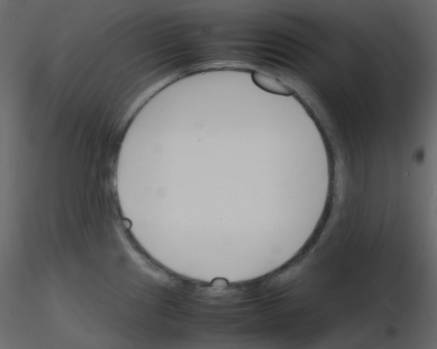 X0000115781241200912241804