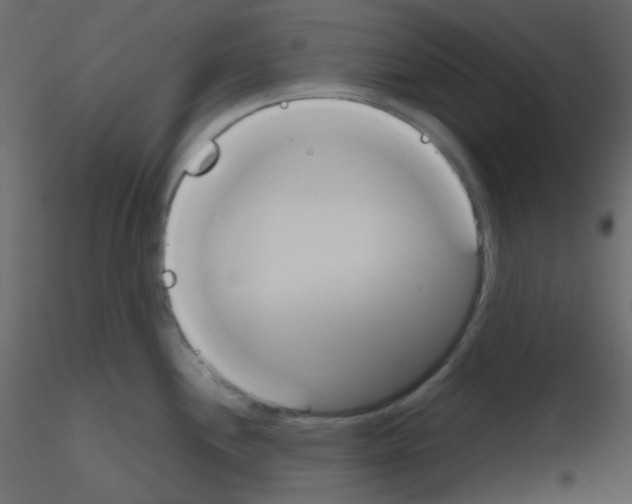 X0000115781244200912241804