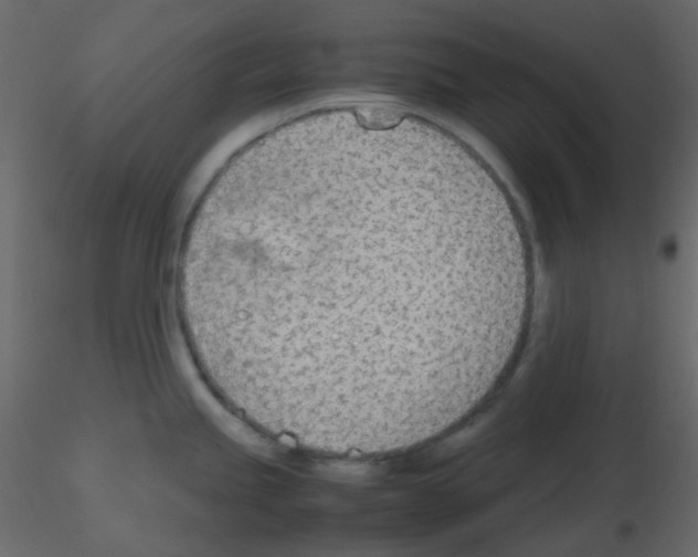 X0000115781245200912241804