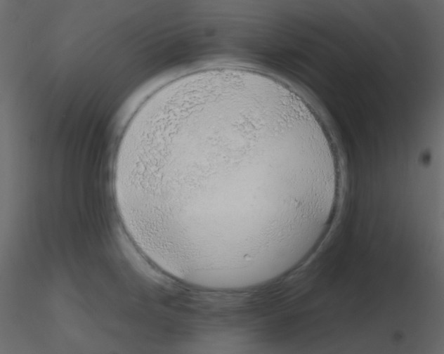 X0000115781246200912241804