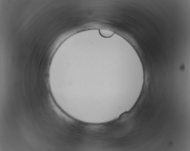 X0000115781247200912241804