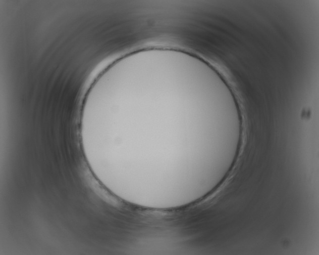 X0000115781248200912241804