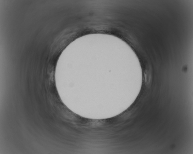 X0000115781251200912241803