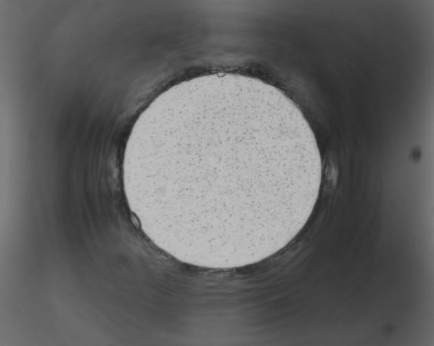 X0000115781252200912241803