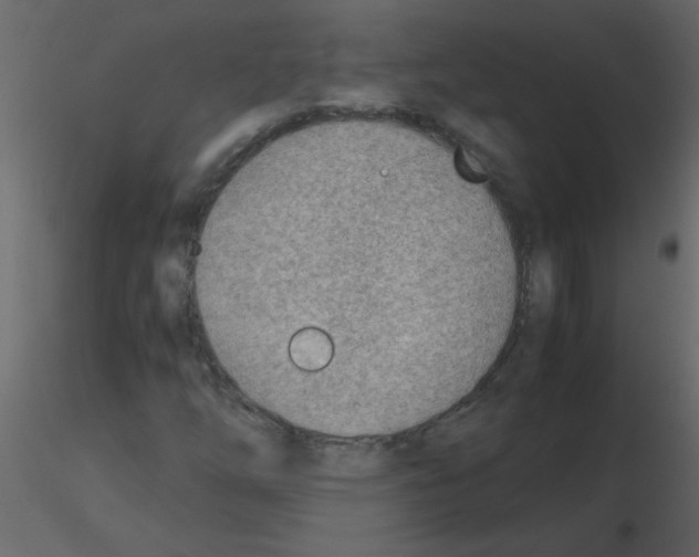 X0000115781254200912241803