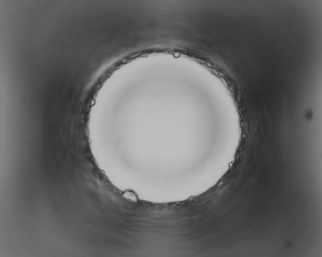 X0000115781256200912241803