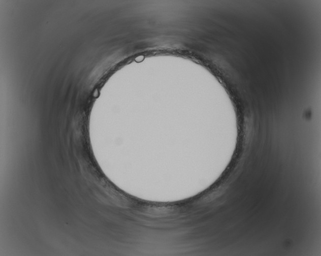 X0000115781257200912241803