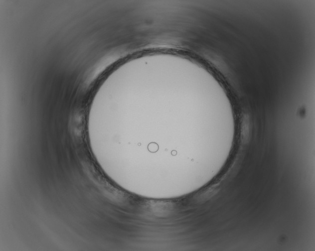 X0000115781258200912241803