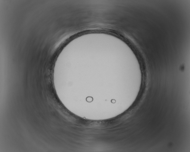 X0000115781259200912241803