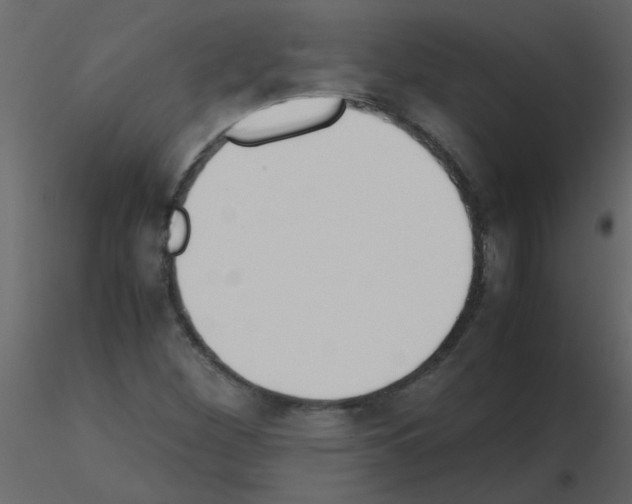 X0000115781260200912241803