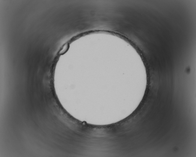 X0000115781264200912241803