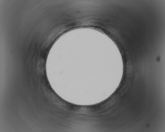 X0000115781265200912241803