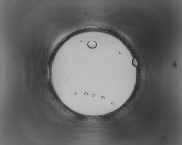 X0000115781267200912241803