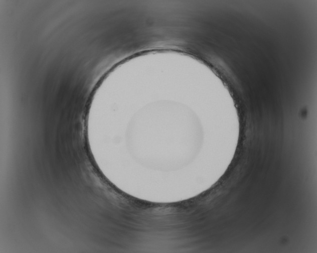 X0000115781268200912241803